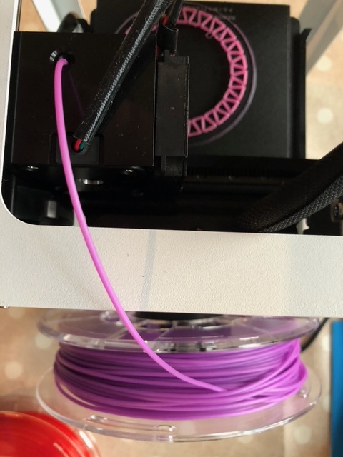 Tangled Roll 1.jpeg