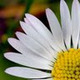 Comment author